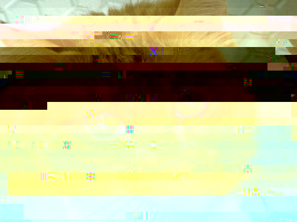 13331_1136038449016_1468993809_30319283_3697626_n.jpg